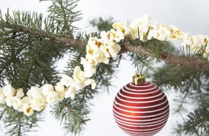 Decorations 5
